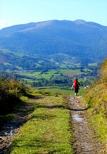hills1