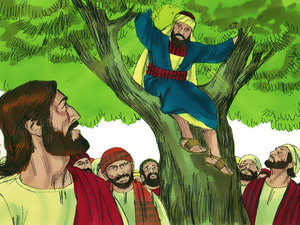 zacchaeus