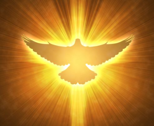 holy-spirit-dove