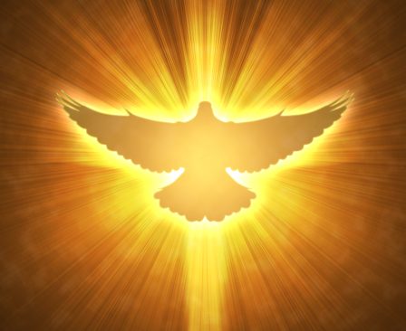 holy-spirit-dove